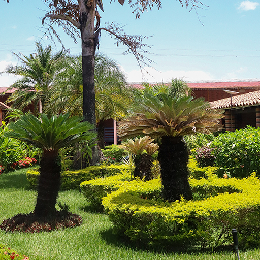 jardines-ceramipego